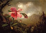 Mountain Canvas Paintings - Orchid and Hummingbird near a Mountain Waterfall